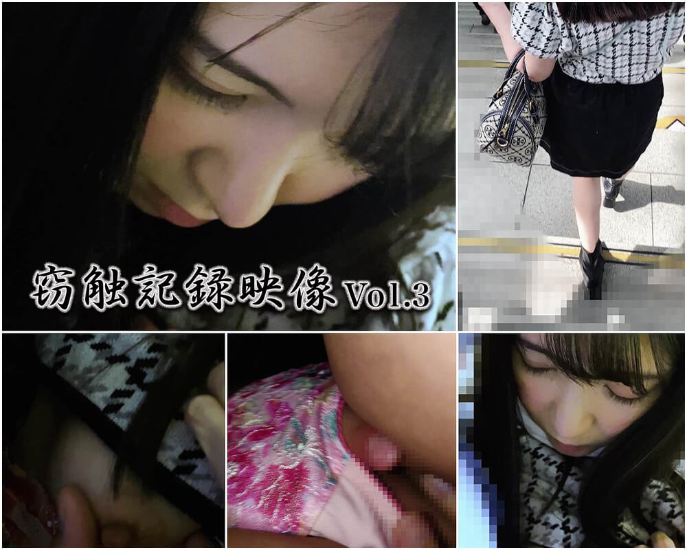 窃触記録日記vol.3：サムネイル